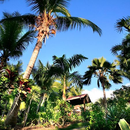 Hotel - Residence Habitation Grande Anse Деше Экстерьер фото