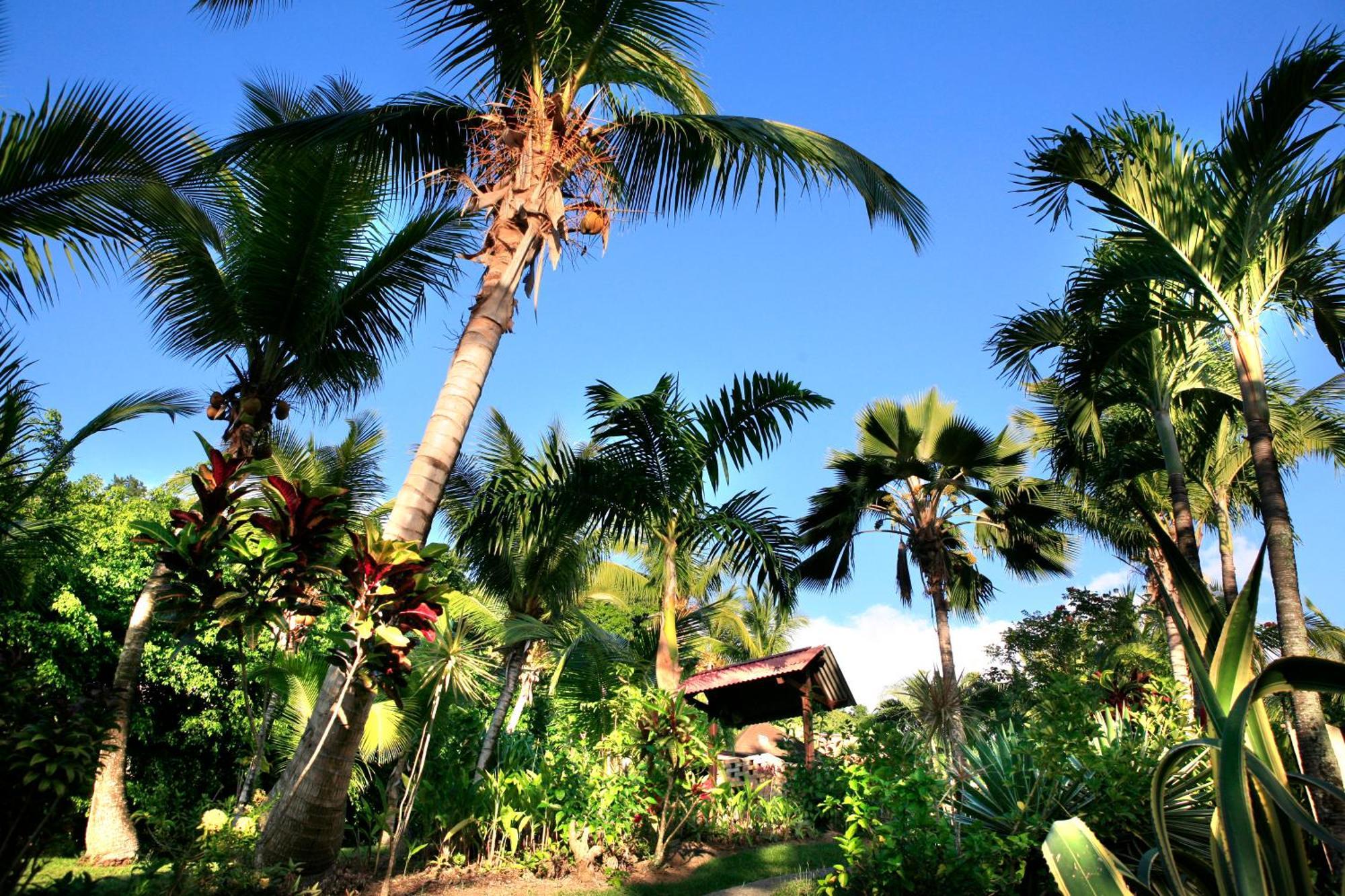 Hotel - Residence Habitation Grande Anse Деше Экстерьер фото